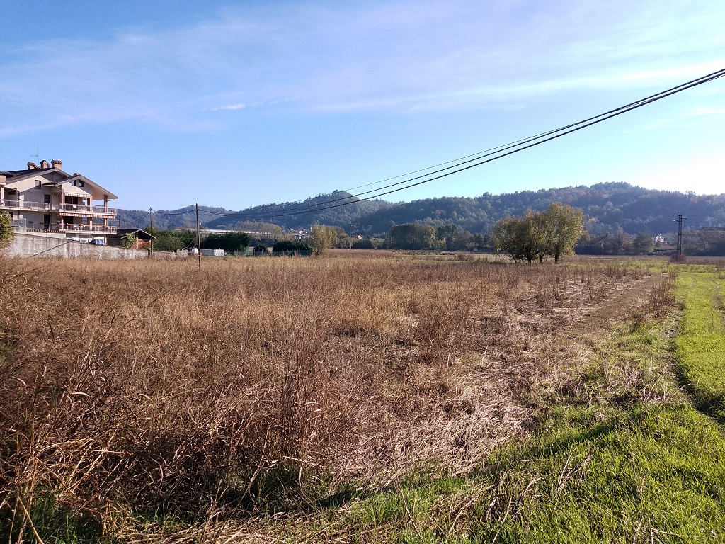 TERRENO EDIFICABILE ARTIGIANALE &#8211; INDUSTRIALE